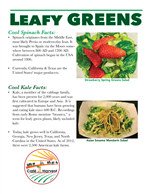 Greens